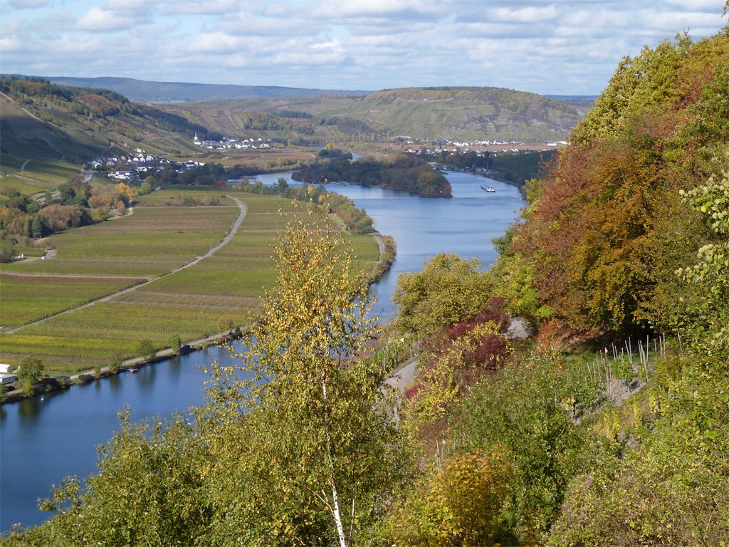 Die Mosel bei Pölich