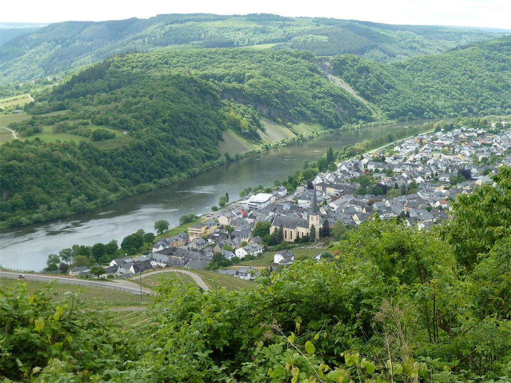 Moselblick
