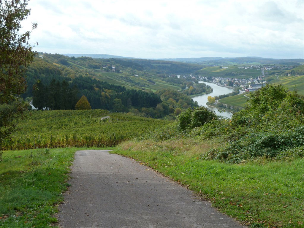 Moselblick auf Rehlingen