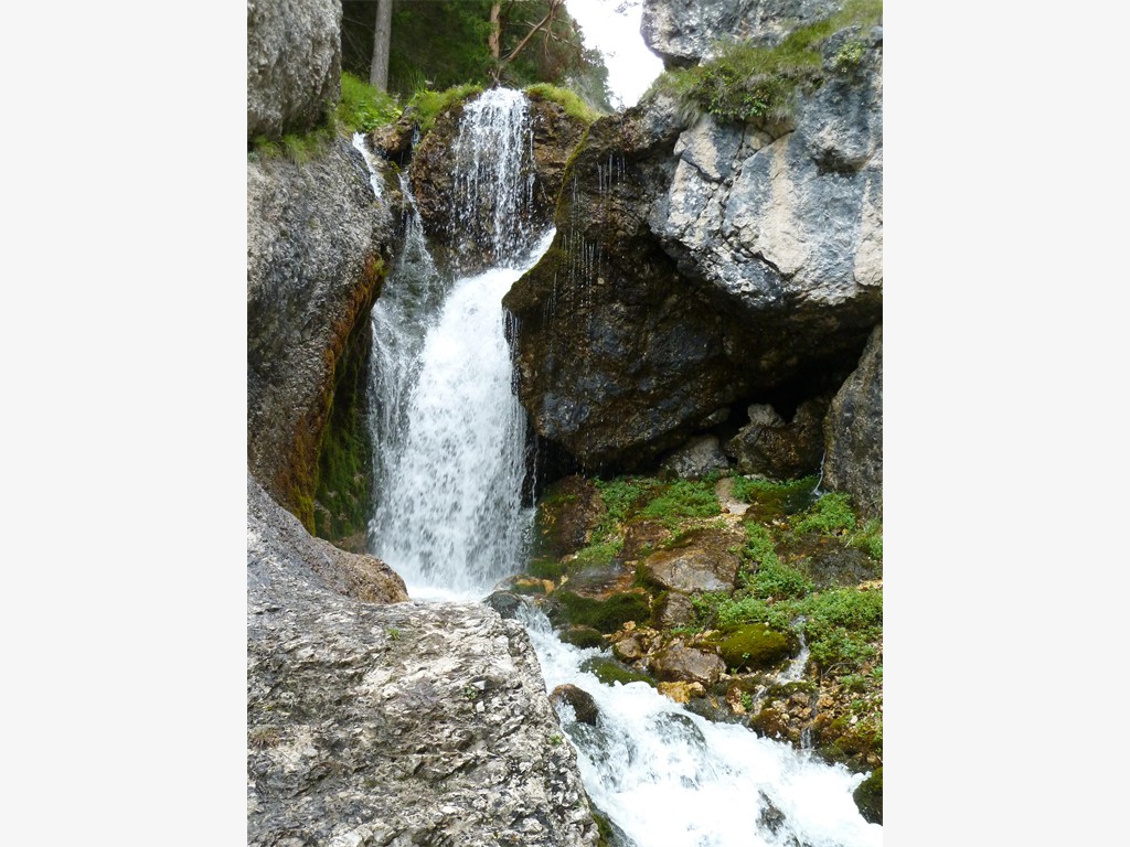 Wasserwelt