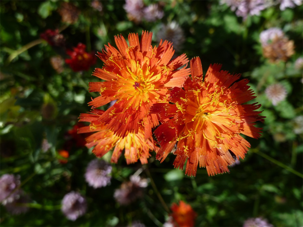 Leuchtende Farbe