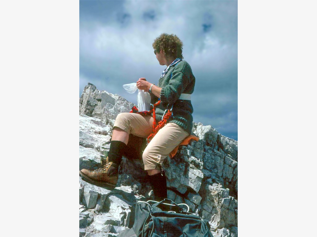 Rast auf der Punta Fanes Sud (Südliche Fanisspitze, 2980)